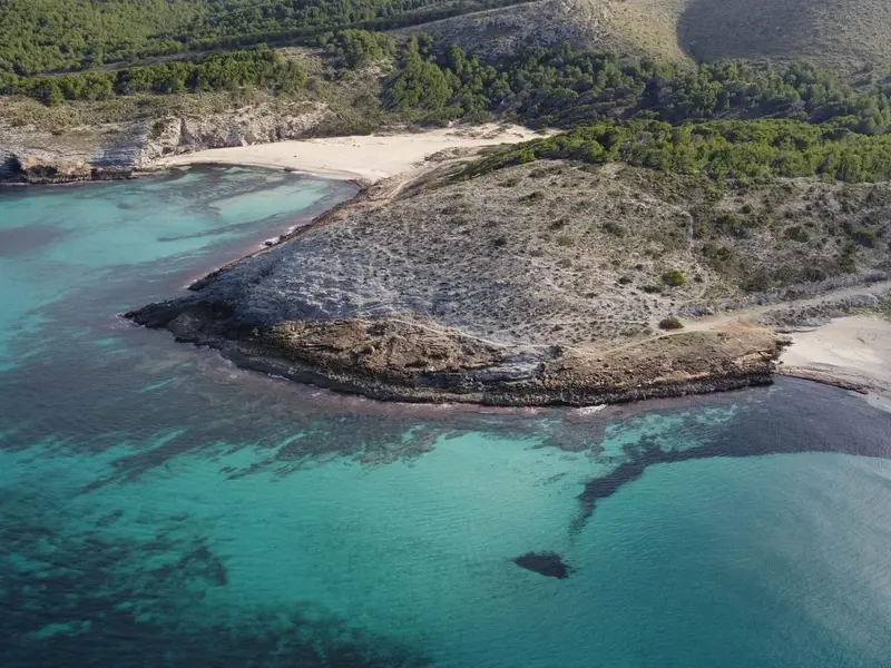Rejse til Palma de Mallorca, Spanien